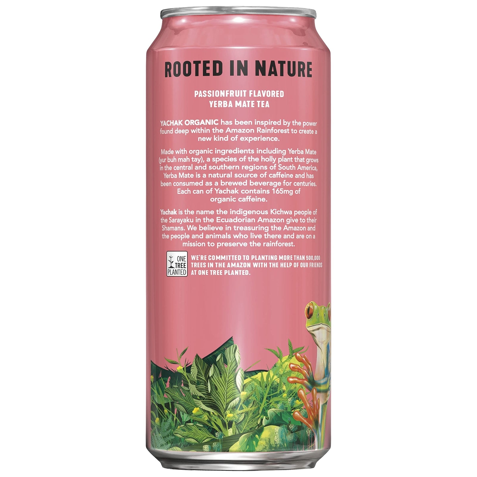 YACHAK Organic Yerba Mate Passionfruit 16 Fl Oz Pack of 12 Cans